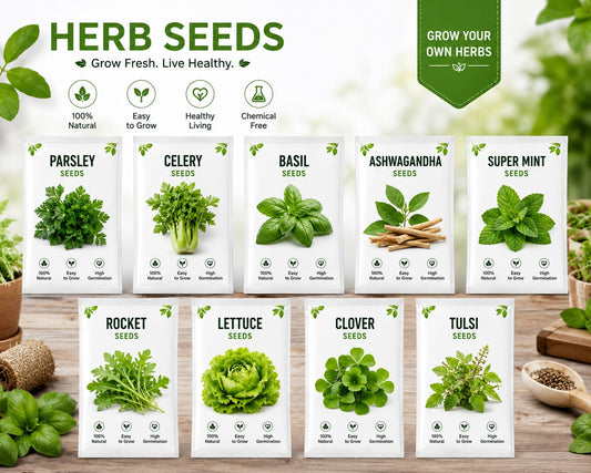 Herbal Seeds Combo Pack – 9 Native Indian Kitchen Garden Varieties With Cocopeat Soil Pack | Native Indian Organics 🌿