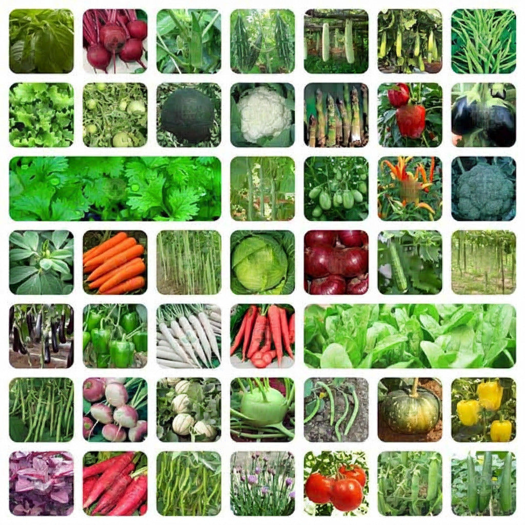 Indian Vegetable Seeds Mega Combo Pack | 45+ Different Varieties | ताजा सब्जियों के बीज | Non-GMO | Fresh Harvested