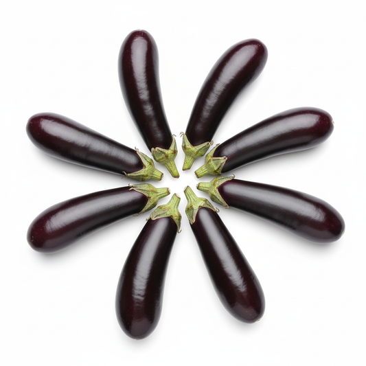 Long Brinjal Baingan fresh slender purple eggplants