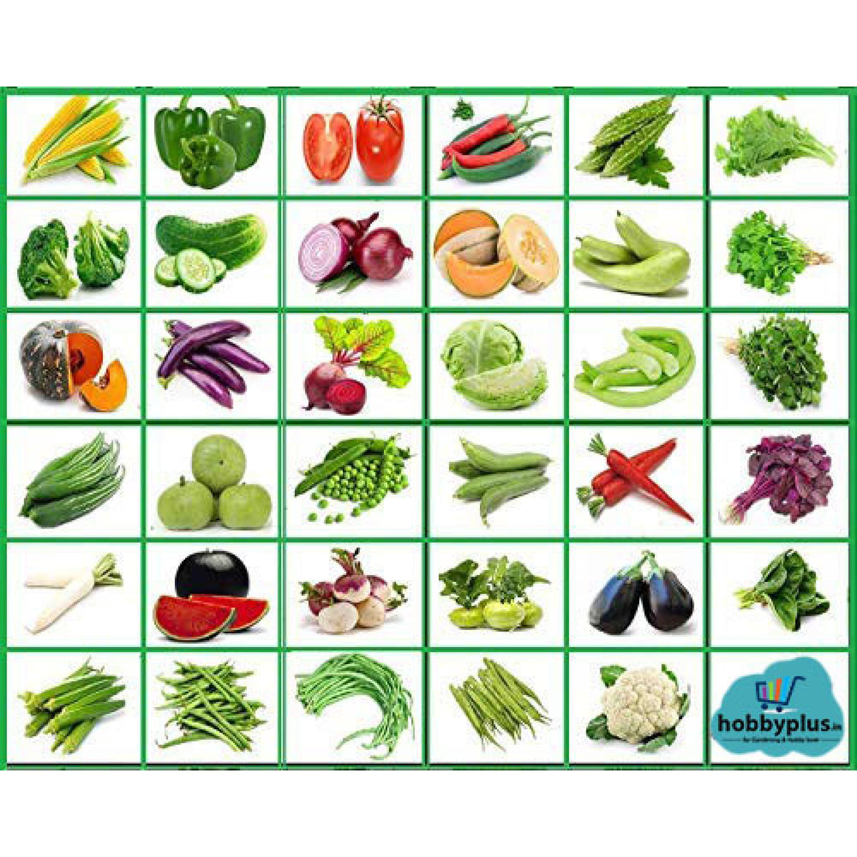 Indian Vegetable Seeds Combo Pack | 35+ Varieties | सब्जियों के बीज | Non-GMO | Fresh Harvested