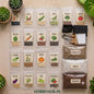 DIY Seasonal Vegetables Seeds Grow Kit - Pack of 20 Varieties + Soil Packets + Growing Bags + Tool Kit