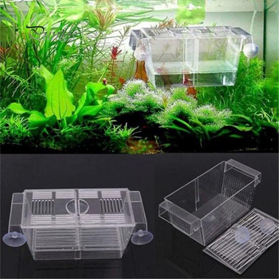 Fish Breeding Box Hatchery Incubator | Aquarium Isolation Box for Baby Shrimp & Fish Fry (Color May Vary)