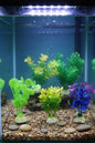Beautiful Attractive Artificial Aquarium Decoration Plastic Plant - 6cm - 5 Pc (Green-Yellow-Pink-Purple) - Design May Vary