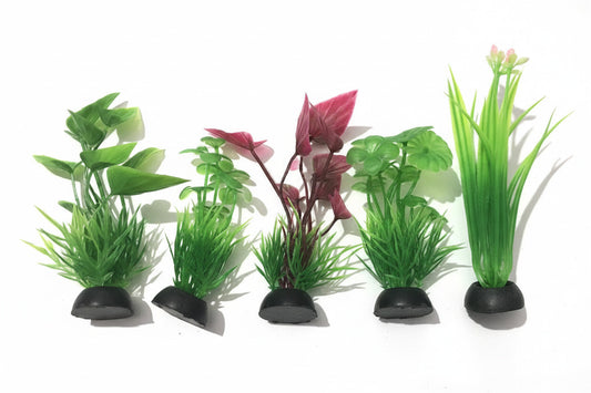 6 in 1 Artificial Plastic Baby Plants for Decoration – 9 cm Height
