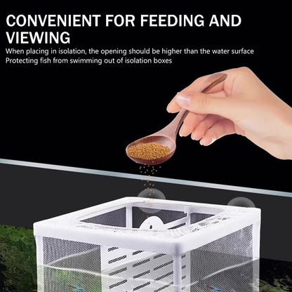 Fish Breeding Box for Betta Fish | Fry Isolation Box with Divider, Nylon Mesh & Suction Cups | 16x14x15cm(Color May Vary)