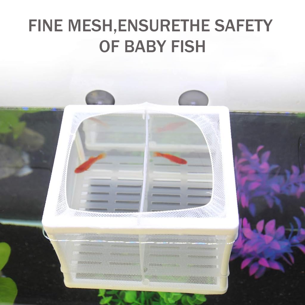 Fish Breeding Box for Betta Fish | Fry Isolation Box with Divider, Nylon Mesh & Suction Cups | 16x14x15cm(Color May Vary)