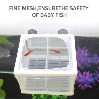 Fish Breeding Box for Betta Fish | Fry Isolation Box with Divider, Nylon Mesh & Suction Cups | 16x14x15cm(Color May Vary)