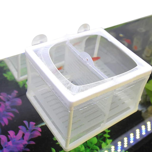 Fish Breeding Box for Betta Fish | Fry Isolation Box with Divider, Nylon Mesh & Suction Cups | 16x14x15cm(Color May Vary)