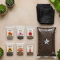 DIY Seasonal Flower Grow Kit (Combo Pack) - Pack of 6 Varieties Winter Flower Seeds +Growing Bag(6)+Sample Soil Pack