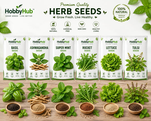 Kitchen Herb Garden Combo – 6 Essential Herb Seeds Pack with CocoPeat Soil For organic Grow🌿 | Grow Fresh Flavours at Home!