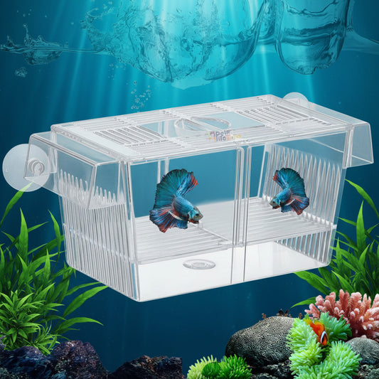 Fish Breeding Box Hatchery Incubator | Aquarium Isolation Box for Baby Shrimp & Fish Fry (Color May Vary)