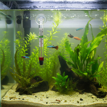 Aquarium Glass Thermometer with Suction Cup | Fish Tank Thermometer Pack of 2