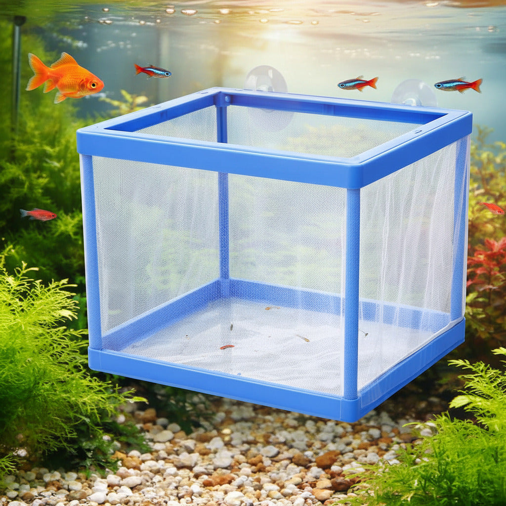 Fish Tank Breeder Net Box with Suction Cups | Blue Mesh Fry Saver | Isolation Box for Baby, Injured & Aggressive Fish(Color May Vary)