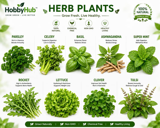 Herbal Seeds Combo Pack – 9 Native Indian Kitchen Garden Varieties With Cocopeat Soil Pack | Native Indian Organics 🌿