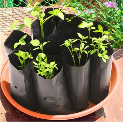 Plastic UV Protected Poly Nursery Plant Bags – 2×5 Inch, Black-Small| Pack of 10 | Home Garden Grow Bags