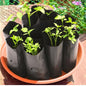 Plastic UV Protected Poly Nursery Plant Bags – 2×5 Inch, Black-Small| Pack of 10 | Home Garden Grow Bags