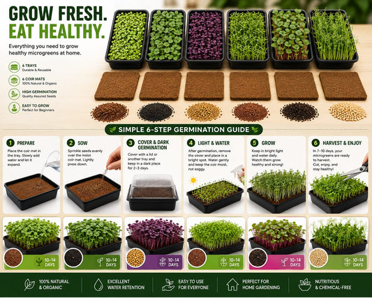 DIY Microgreen Ready-to-Grow Kit - 6 Varieties Seeds Combo Pack + 6 Growing Trays + 6 Organic Coir Mats