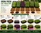 DIY Microgreen Ready-to-Grow Kit - 6 Varieties Seeds Combo Pack + 6 Growing Trays + 6 Organic Coir Mats