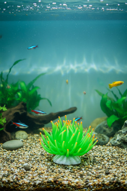 Simulation Luminous Silicone Sea Urchin Aquarium Decoration – Green Small