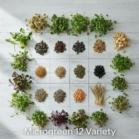 Microgreen Seeds 12 Variety