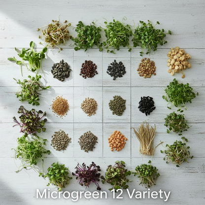 Microgreen Seeds 12 Variety