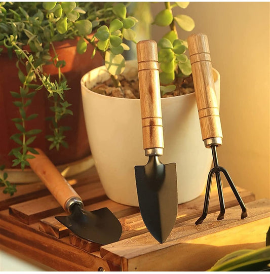 Mini Gardening Tools Kit - 3 Pcs (Small) | Home Gardening Tool Set