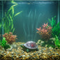 Resin Turtle Aquarium Ornament for Aquarium, Garden And Office Desk Decoration – Small (3 cm)