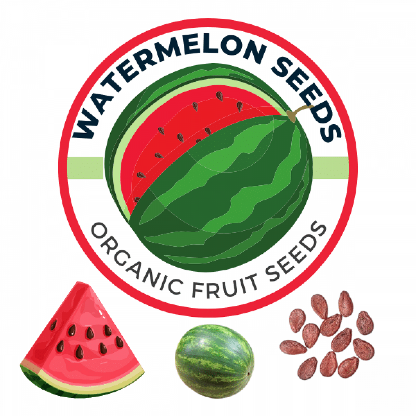 Watermelon Seeds (Tarbooj / तरबूज के बीज) | Grow Juicy Delights in Your Indian Garden