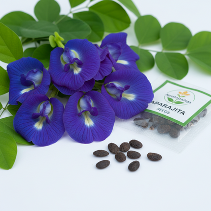 Aparajita Flower Seeds Pack – Butterfly Pea (Clitoria ternatea)