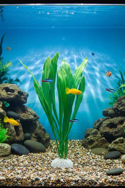 Artificial Aquarium Decoration Plastic Plant - 10cm - 1 Pc