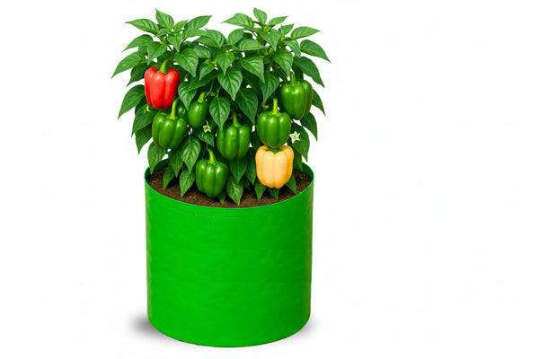 15×15 Grow Bag for Vegetable Gardening – Premium HDPE 260 GSM | Green Plant Bag for Terrace Garden