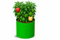 15×15 Grow Bag for Vegetable Gardening – Premium HDPE 260 GSM | Green Plant Bag for Terrace Garden