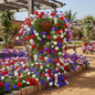 Verbena Red White Blue Pink Purple Mix Trailing Plant in Hanging Basket