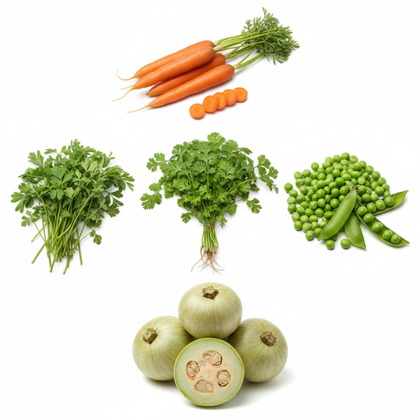 Collage grid of all 5 Indian winter vegetables — coriander, fenugreek, tinda, peas and carrot combo pack