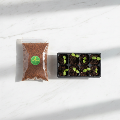 Cocopeat pouch with seedling tray lifestyle shot