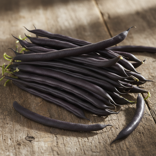 Long slender dark purple-black French bean pods on rustic wooden surface in natural sunlight