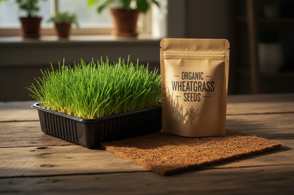 Microgreen Seeds Starter Kit – rustic lifestyle shot with sprouting tray on wooden table