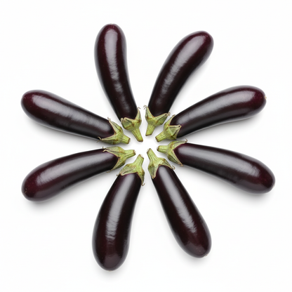 Long Brinjal Baingan fresh slender purple eggplants