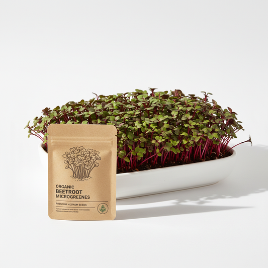 Beetroot Microgreens Organic Seeds - Easy Indoor Gardening Grow Your Own Super Salad