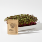 Beetroot Microgreens Organic Seeds - Easy Indoor Gardening Grow Your Own Super Salad