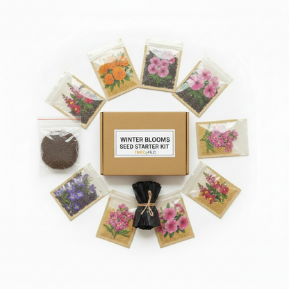 Seeds Starter Kit DIY Box flat lay – 10 winter flower seed packets, coco peat disc and black polybags