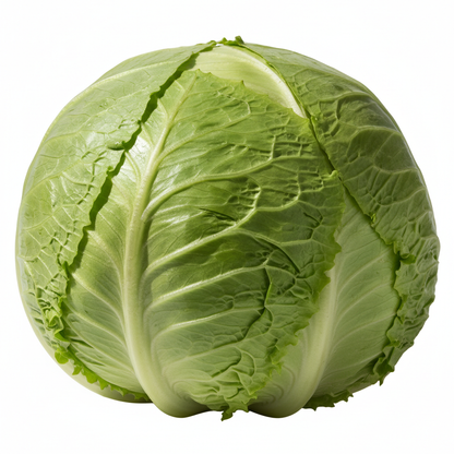 Large round compact pale green iceberg lettuce head with tightly packed crisp leaves on clean white background