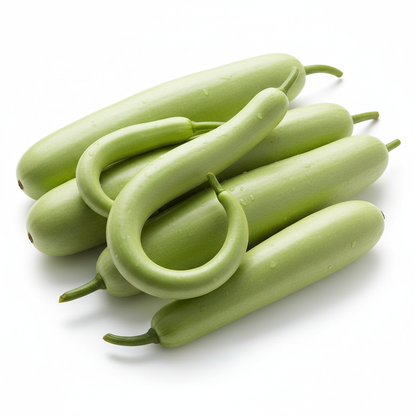 Bottle Gourd Lauki Ghiya Long fresh pale green gourds