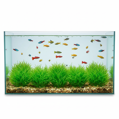 6 piece small green grass artificial aquarium plants in fish tank creating underwater meadow