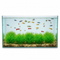 6 piece small green grass artificial aquarium plants in fish tank creating underwater meadow