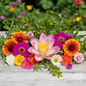 Flower seeds combo pack with 5 varieties - Gaillardia, Zinnia Purple, Portulaca, Gomphrena and Pink Lotus in full bloom