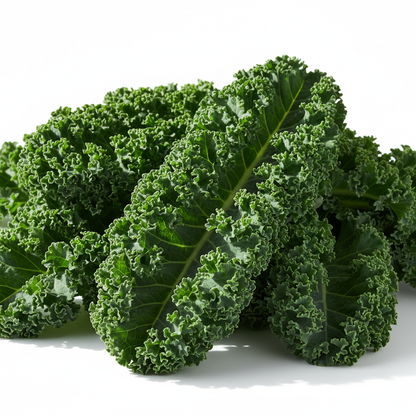 Large dark green curly kale leaves with ruffled edges on clean white background in natural sunlight