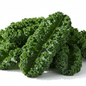 Large dark green curly kale leaves with ruffled edges on clean white background in natural sunlight