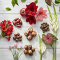 Summer flower bulbs combo - Football Lily, Amaryllis, Rain Lily, Caladium and Tuberose