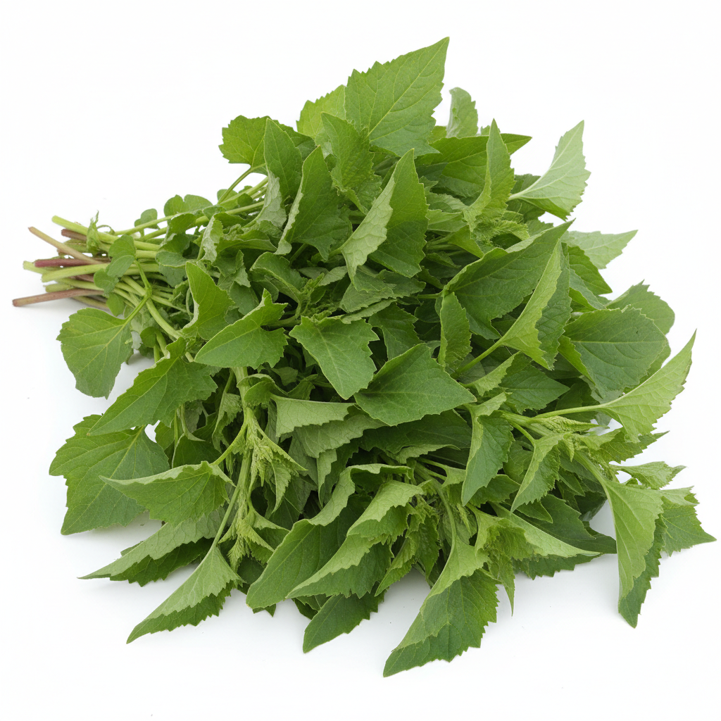Bathua Desi Saag Seeds - Best Quality Home Garden Pack
